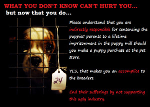 ohio and shipshewana indiana are the biggest puppy farmers puppy mills ...