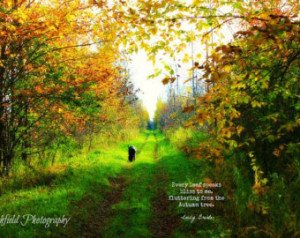 ... , autumn, famous quotes, inspirational, dog photography, emily bronte