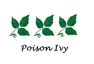 poison ivy vine in winter. quot;Poison Ivyquot; and quot;Poison ...