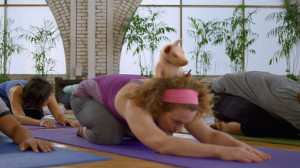 geico-pig-yoga