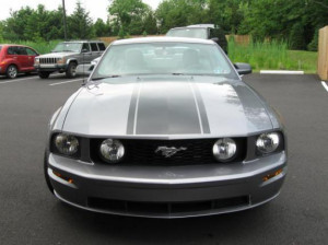 Mustangs with Racing Stripes