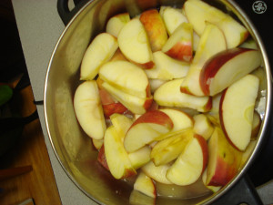 Posted Applesauce Drops