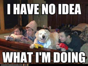 ... animals memes - Animal Memes: Yet He's Still Winning in 