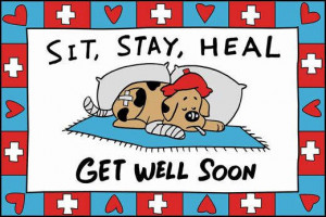 Sit, Stay, Heal Get Well Soon