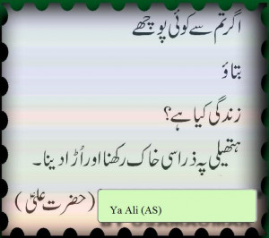 Hazrat Ali AS Saying in Urdu