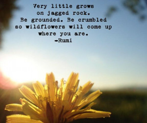Very little grows on jagged rock. Be grounded. Be crumbled so ...