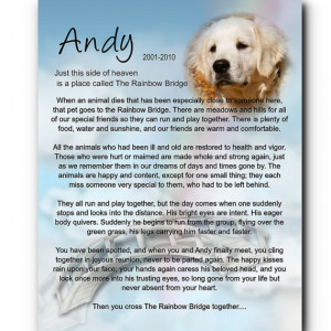 Sorry For Your Loss Pet Cat For dog, cat pet loss pet