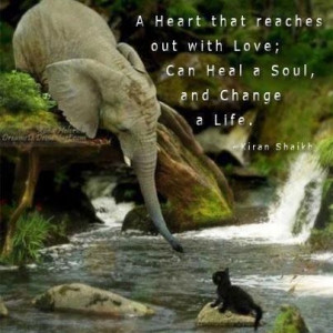Love elephants and the quote