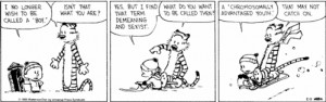 Ah, Calvin & Hobbes; wisdom & joy from a simpler time & place...