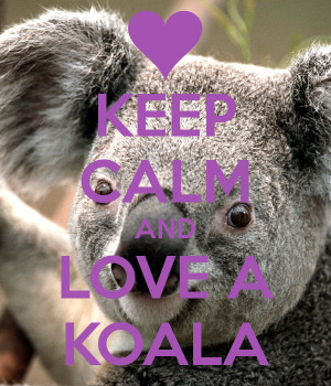 Keep Calm and Love Koalas