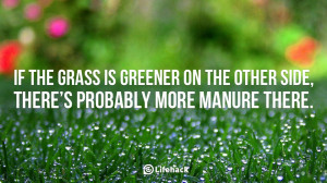 If-the-grass-is-greener-on-the-other-side-there-is-probably-more ...