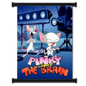 Pinky and the Brain Cartoon Fabric Wall Scroll Poster (32