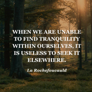 quotes-tranquility-la-rochefoucauld-480x480.jpg