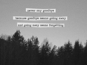 ... Because Goodbye Means Going Away and Going Away Means Forgetting