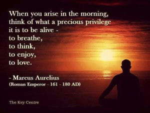 Pinned by Sandra Willett