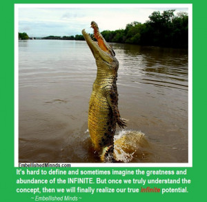 Inspirational Quotes / Embellished Minds Quotes )