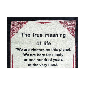 True Meaning Of Life Quotes