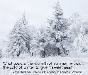 ... quote-identification activities gakuen alice wallpaper mikan and