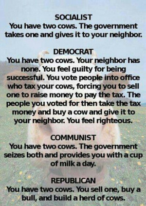 The truth. Cow political analogy