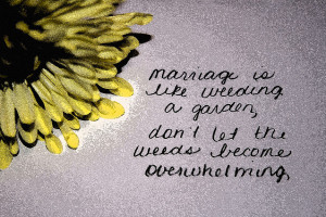 25+ Famous Marriage Quotes