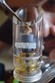 ... cannabis pot 420 hash green oil bho dabs Flintstones dab flintstoner