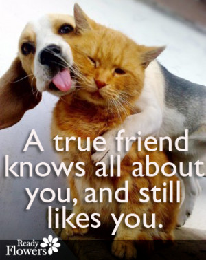 true friend knows all about you, and still likes you.