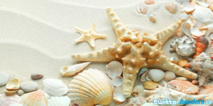 Sand Seashells Starfish Twitter Header