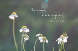 In Summer,the Song Sing Itself ~ Inspirational Quote