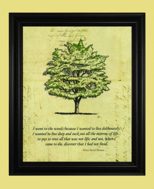 Henry David Thoreau Quote, Green Tree Art Drawing, Beautiful Nature ...