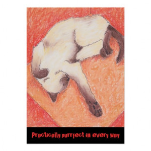 Cute siamese cats artists drawings quotes poster