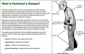 ... Cell Therapy May Offer an Effective Parkinson’s Disease Treatment