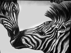 Zebra Love Rawrsamie