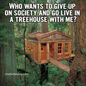 Go Live In A Tree House With Me?