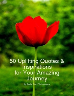 50 Uplifting Quotes & Inspirations for Your Amazing Journey