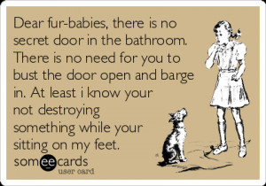 Funny Confession Ecard: Dear fur-babies, there is no secret door in ...