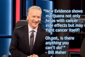 Bill Maher Marijuana Quote