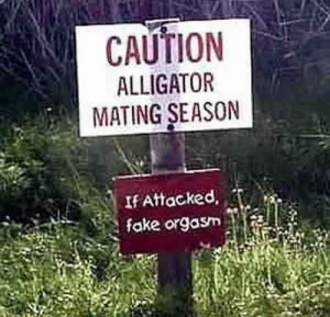 Here are some ridiculous animal warning signs you haven’t seen ...