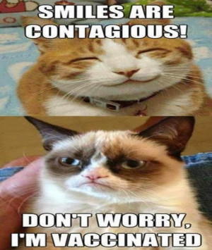 Grumpy Cat vs. Smiles Are Contagious Cat (via the internets)