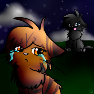 Funny Quotes Contact Us DMCA Notice