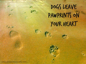 Pet Sympathy Card Paw Print