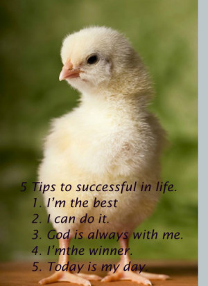 Home » Quotes » 5 Tips To Be Successful In Life