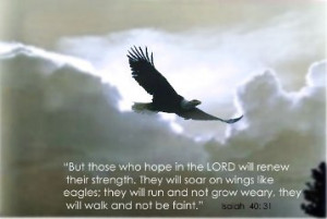 Isaiah They will renew their strength and soar like eagles