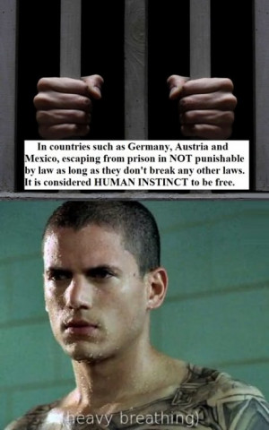 funny-prison-break-michael-scofield