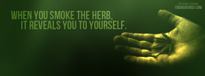 Love Weed Quotes Substitute weed for tobacco