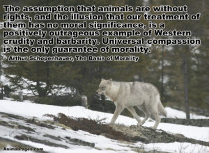 Animal Quotes, Part 6