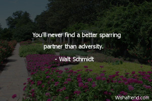 adversity-You'll never find a better sparring partner than adversity.