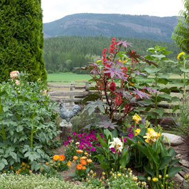 Green Tongues – Quotes about Gardening