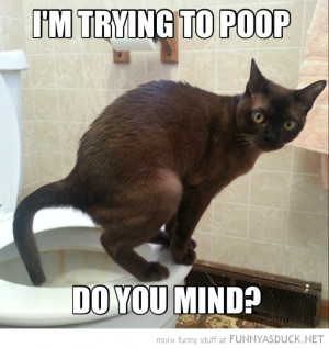Funny Cat Poop