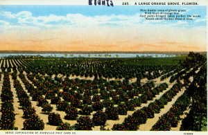 Florida Memory Credited