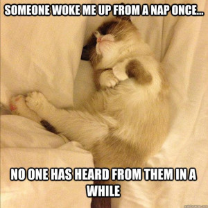 Someone Who Woke Up Once Grumpy Cat